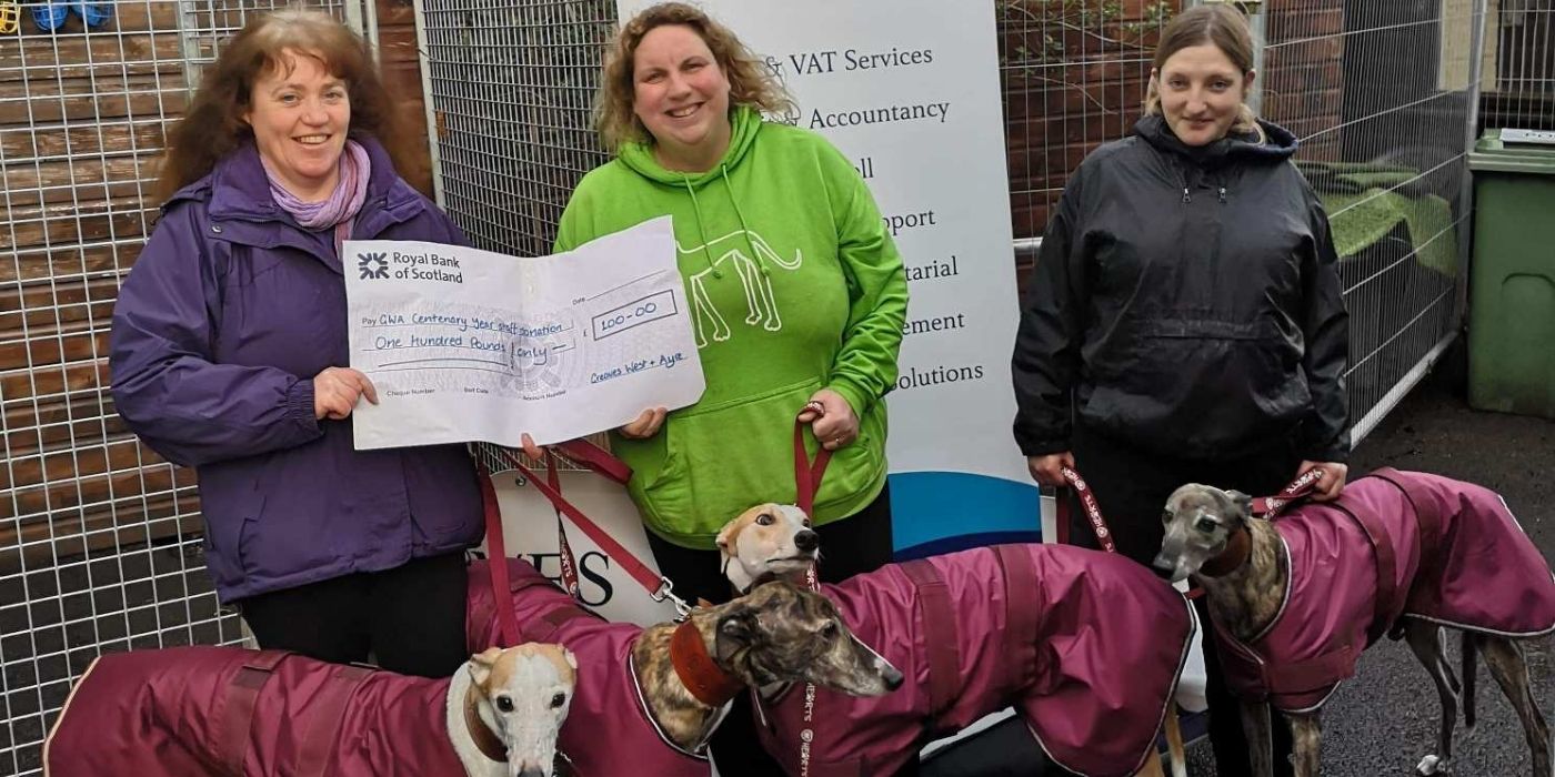 Scottish Border Greyhounds